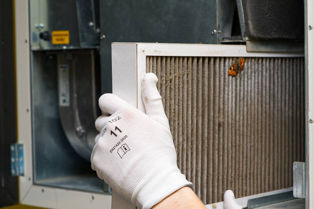 Best Air Duct Sanitizing Services  in Prague, OK